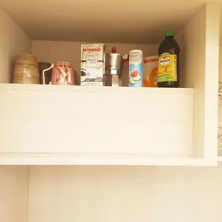 Gasthof Museum Day Vatican